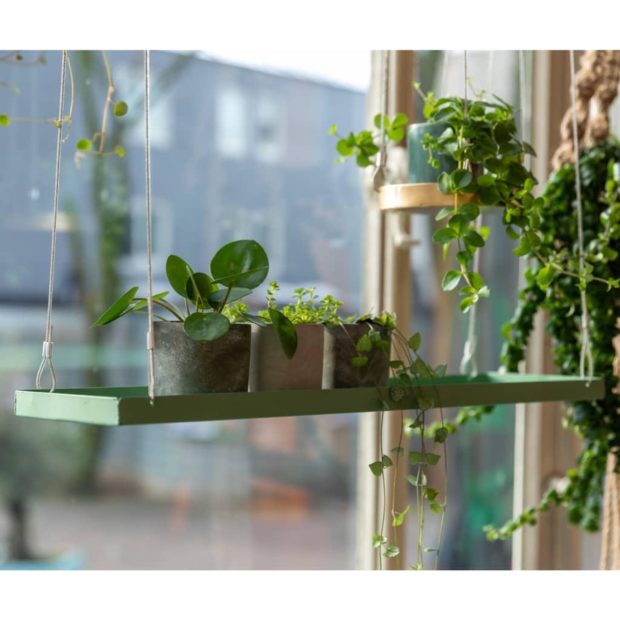 Voir la diapositive 4 : ESSCHERT DESIGN Esschert Design Plateau suspendu pour plantes rectangulaire vert L
