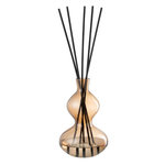 Paris Prix Diffuseur de Parfum en Verre  Li-Ly  1L Nordic Vetiver