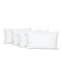 Voir la diapositive 1 : OLYMPE LITERIE OLYMPE LITERIE | Lot de 4 oreillers NATURA | Duvet & Plumess