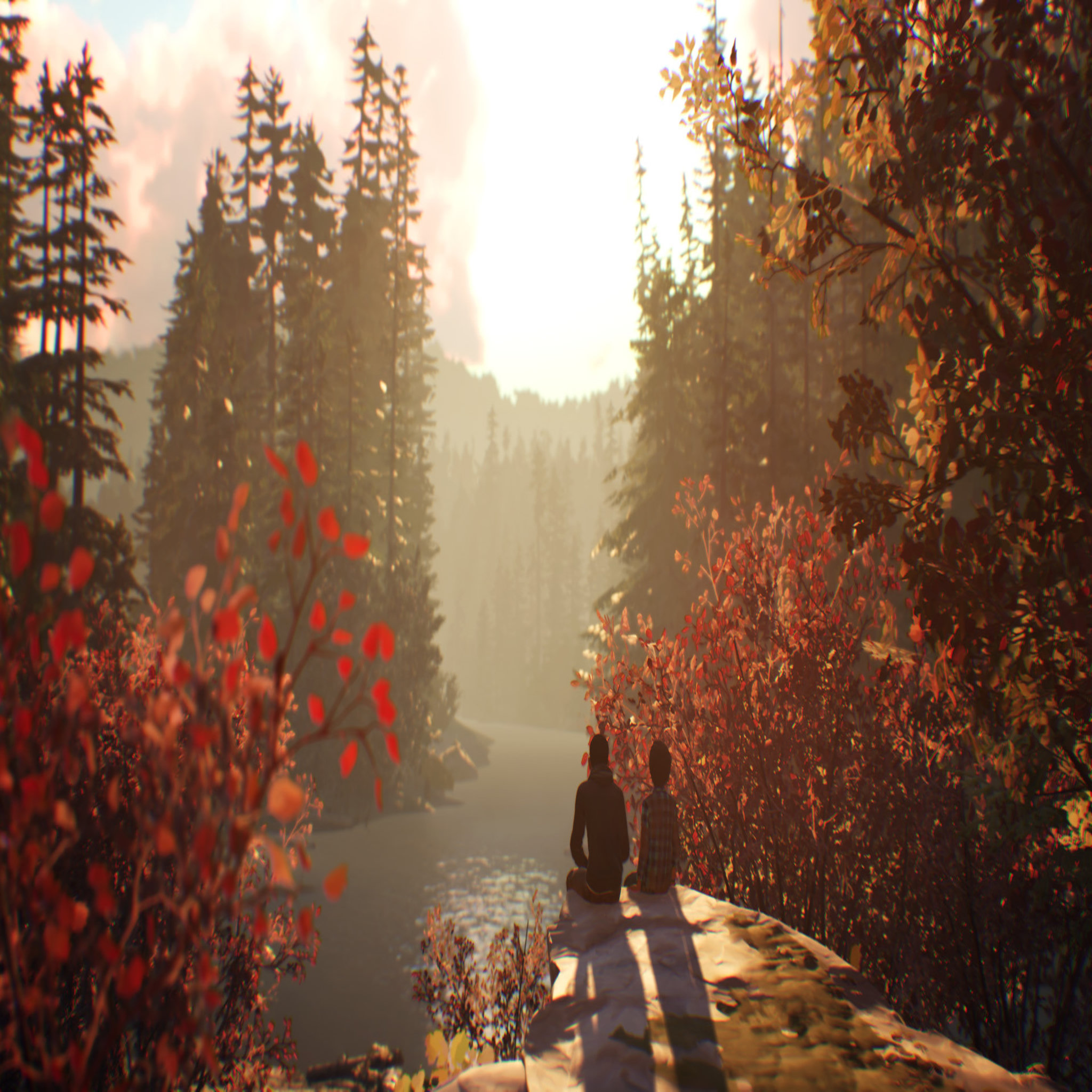 Voir la diapositive 4 : Life is Strange 2 PS4