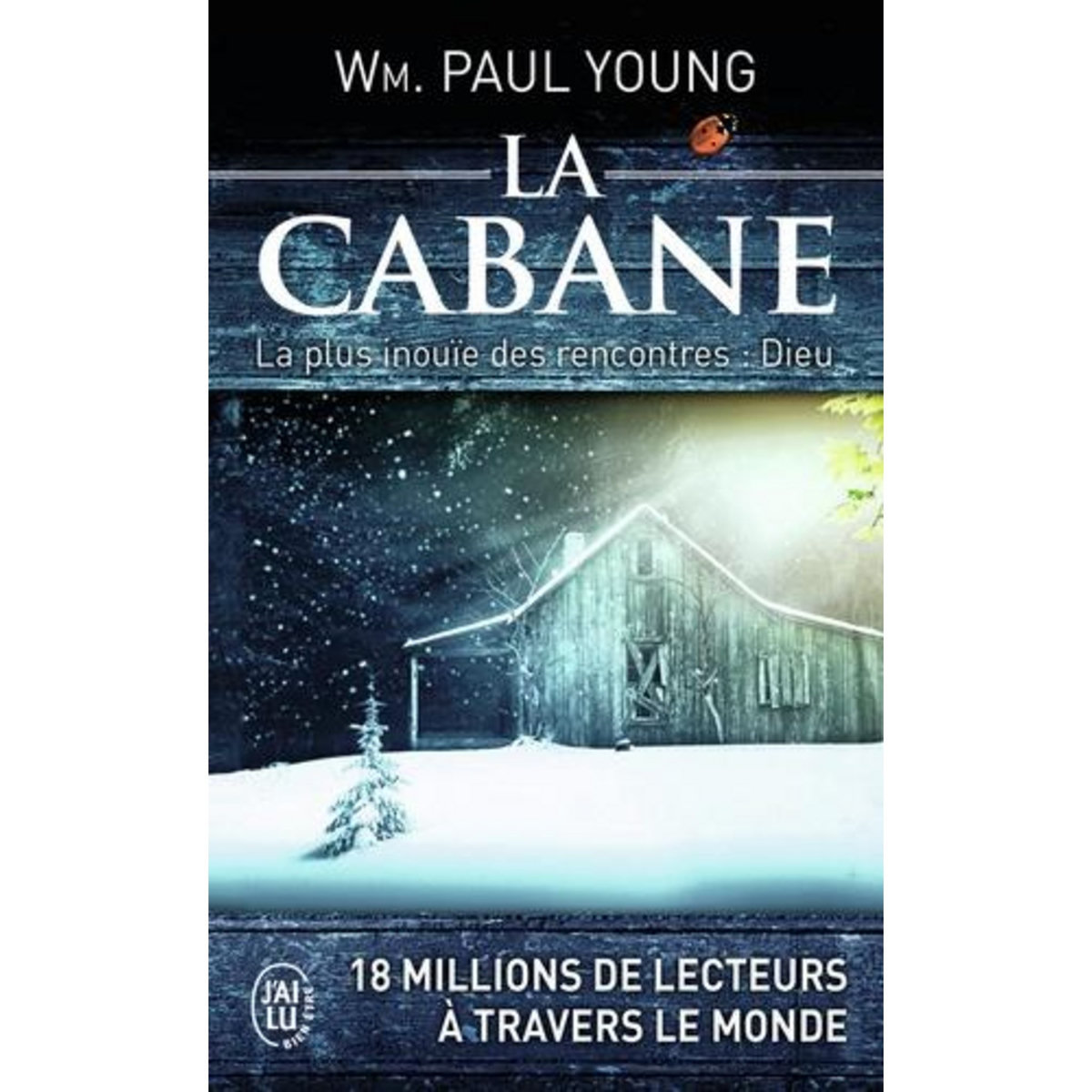 LA CABANE. LA OU LA TRAGEDIE SE CONFRONTE A L'ETERNITE, Young William Paul