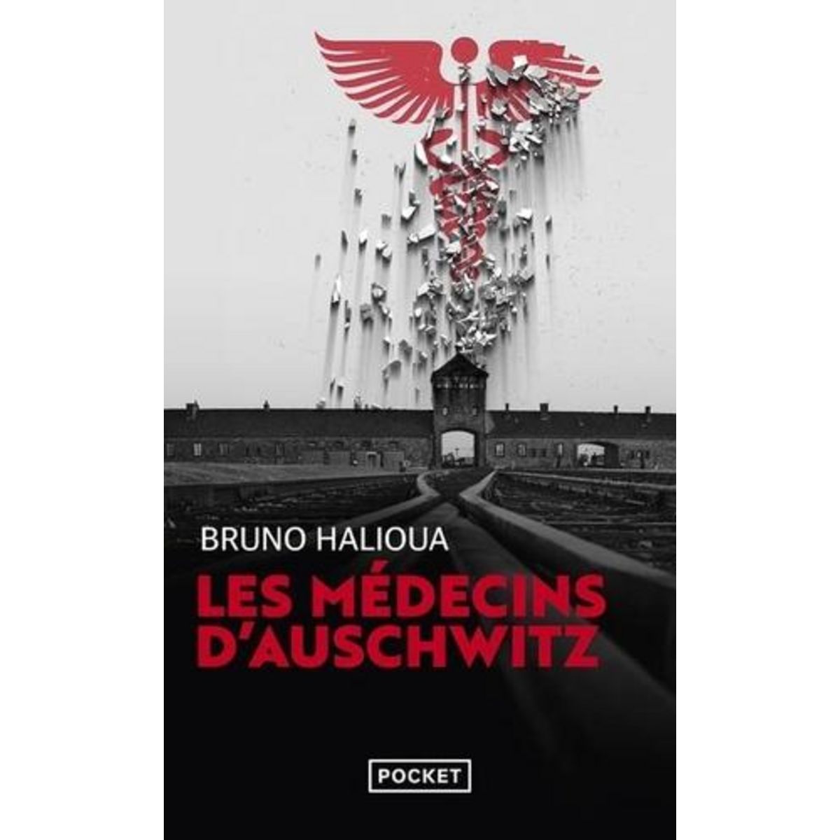 LES MEDECINS D'AUSCHWITZ, Halioua Bruno