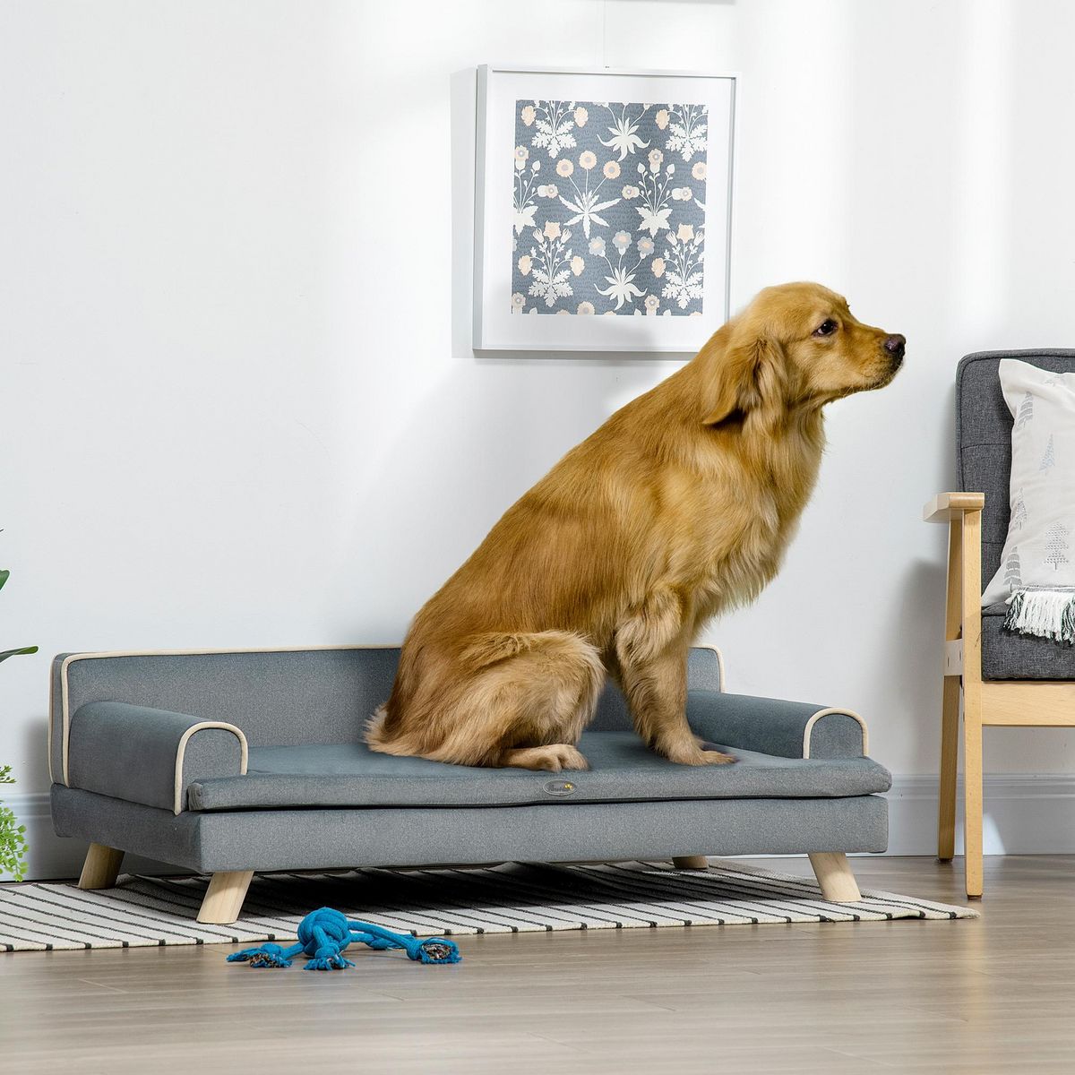 PAWHUT Canapé chien lit pour chien design scandinave coussin moelleux piètement bois dim. 100L x 62l x 32H cm polyester gris