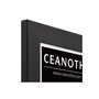 Voir la diapositive 4 : CEANOTHE Cadre Ceanothe CADRE 30X40 ETERNEL NOIR