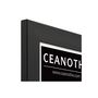 Voir la diapositive 4 : CEANOTHE Cadre Ceanothe CADRE 30X40 ETERNEL NOIR