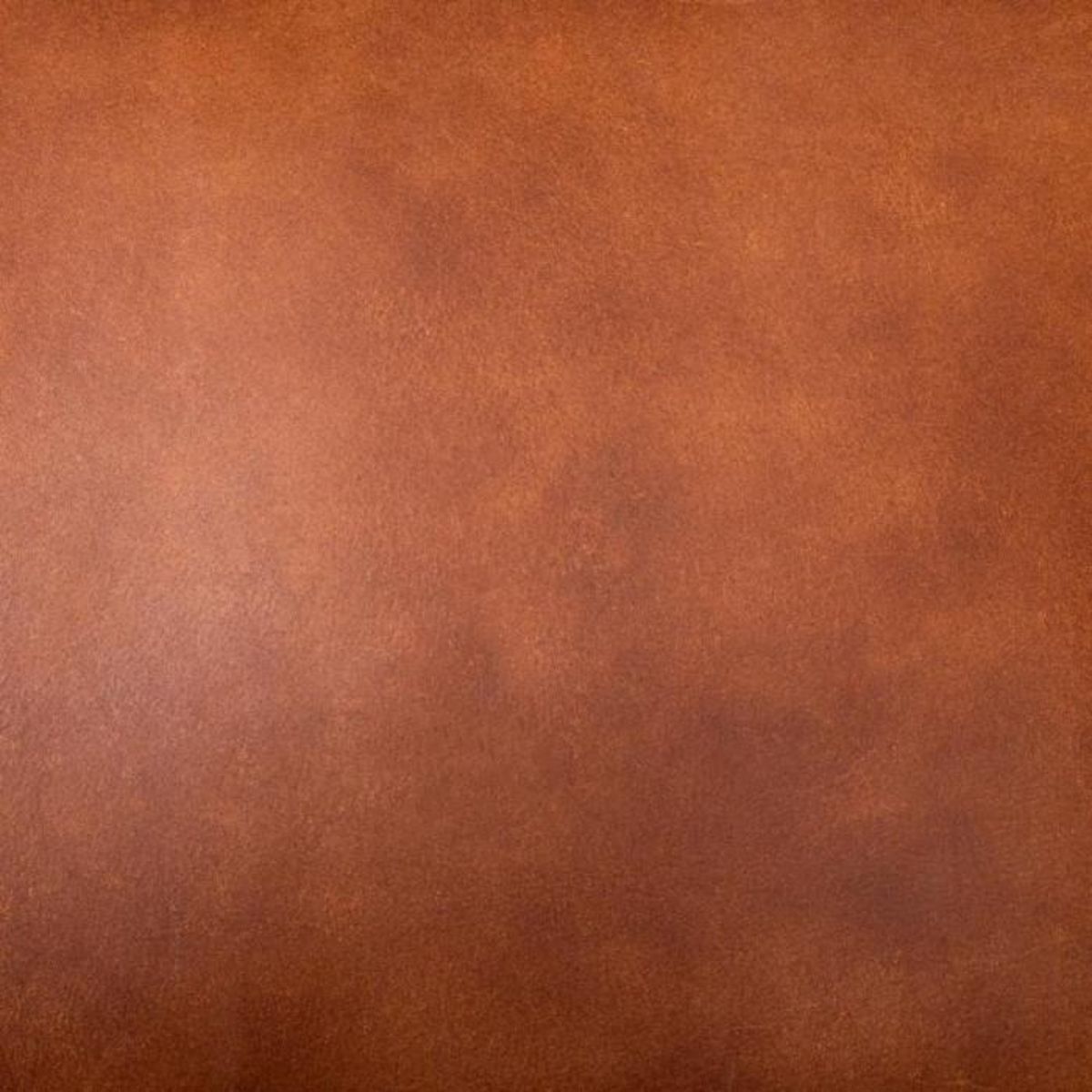 Paris Prix Fauteuil Cognac en Cuir  Kanat  84cm Marron