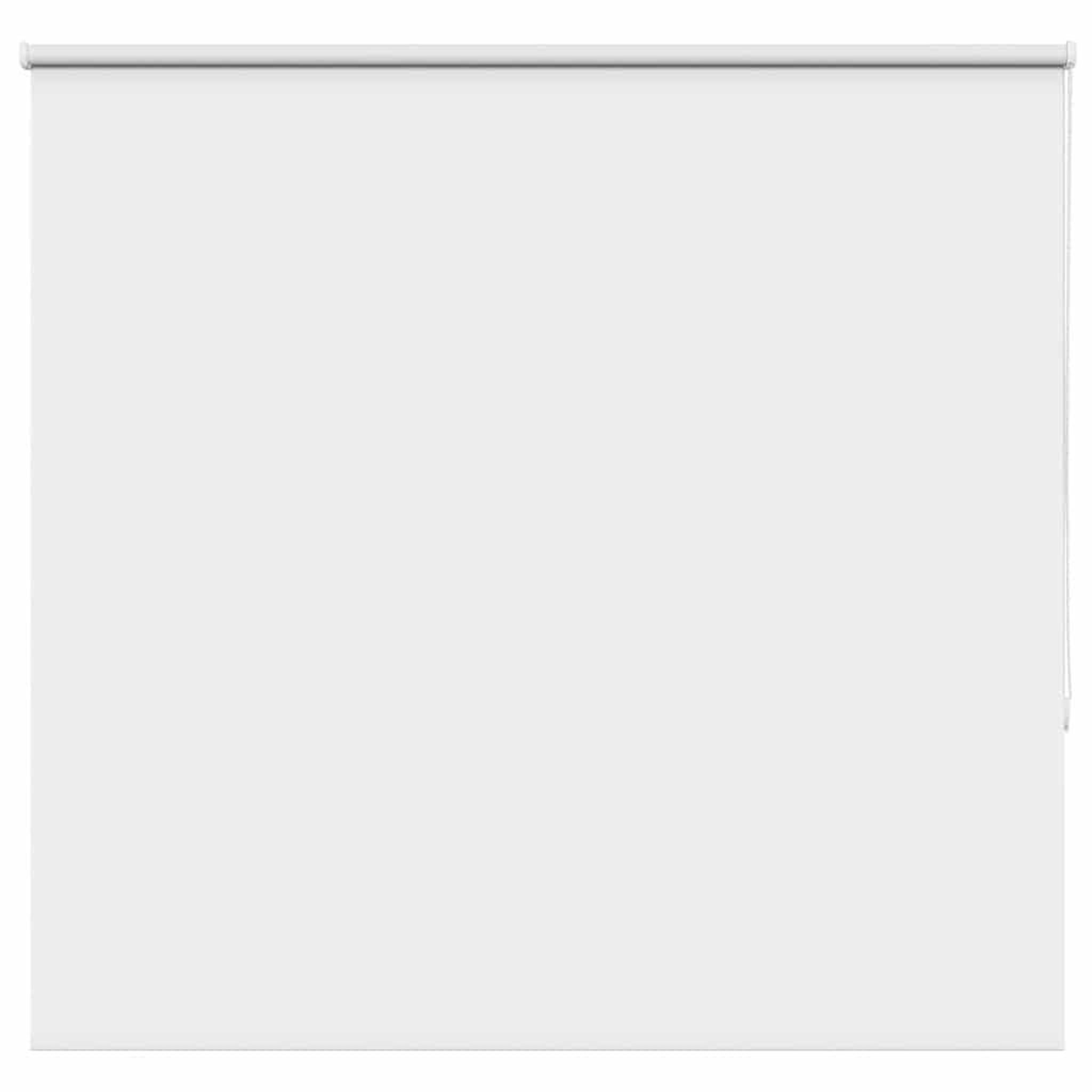 VIDAXL Store enrouleur occultant largeur du tissu 161,6 cm polyester