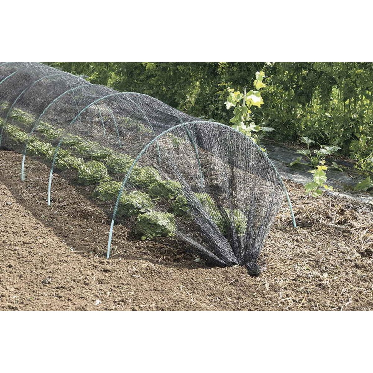 Nortene Filet d'ombrage Ombranet en maille tricotée, 100% polyéthylène - 2 x 150 m - Noir