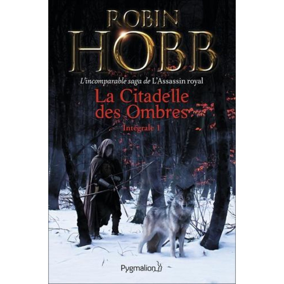 LA CITADELLE DES OMBRES TOME 1, Hobb Robin