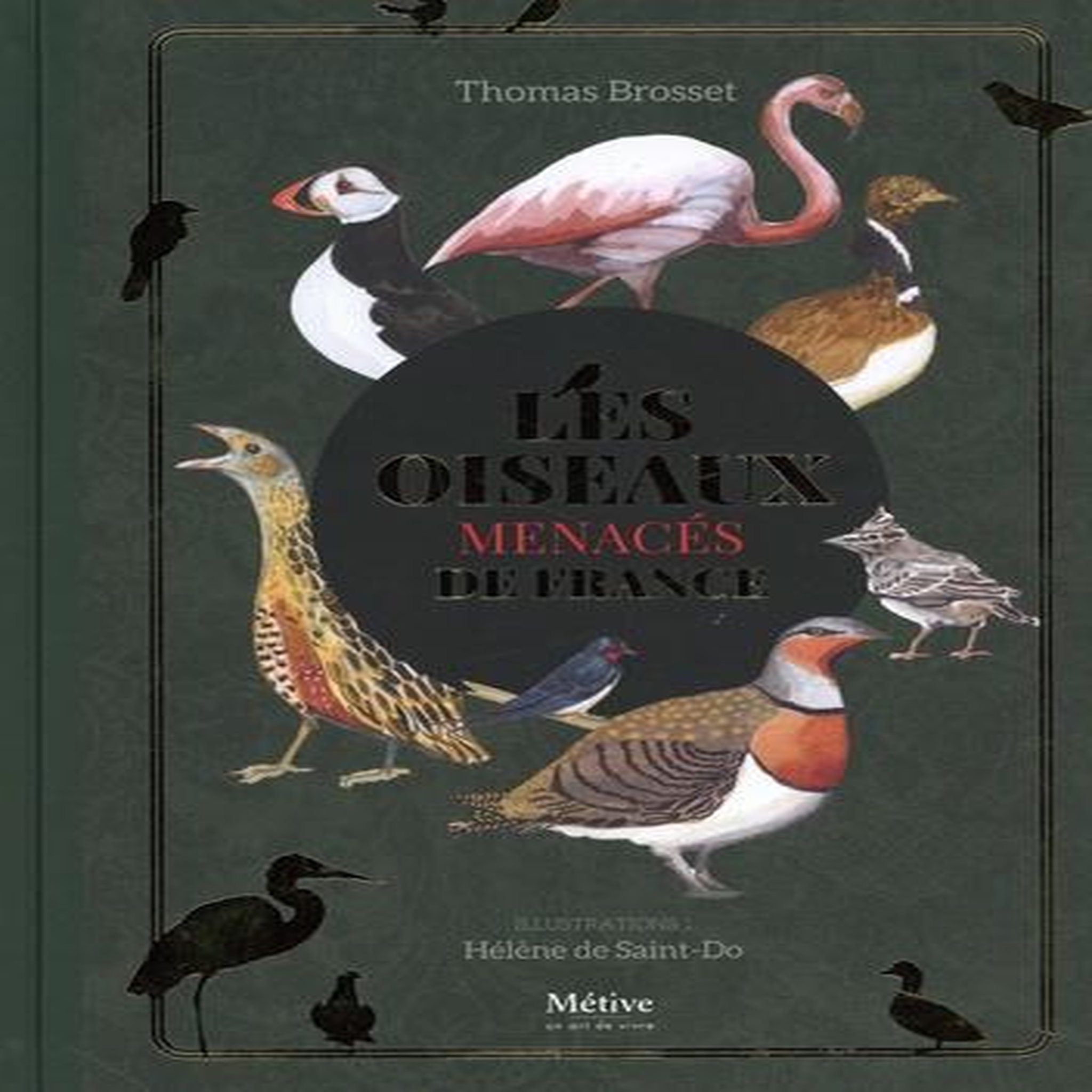 LES OISEAUX MENACES DE FRANCE, Brosset Thomas