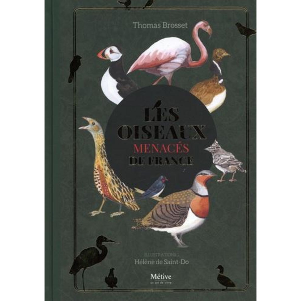 LES OISEAUX MENACES DE FRANCE, Brosset Thomas