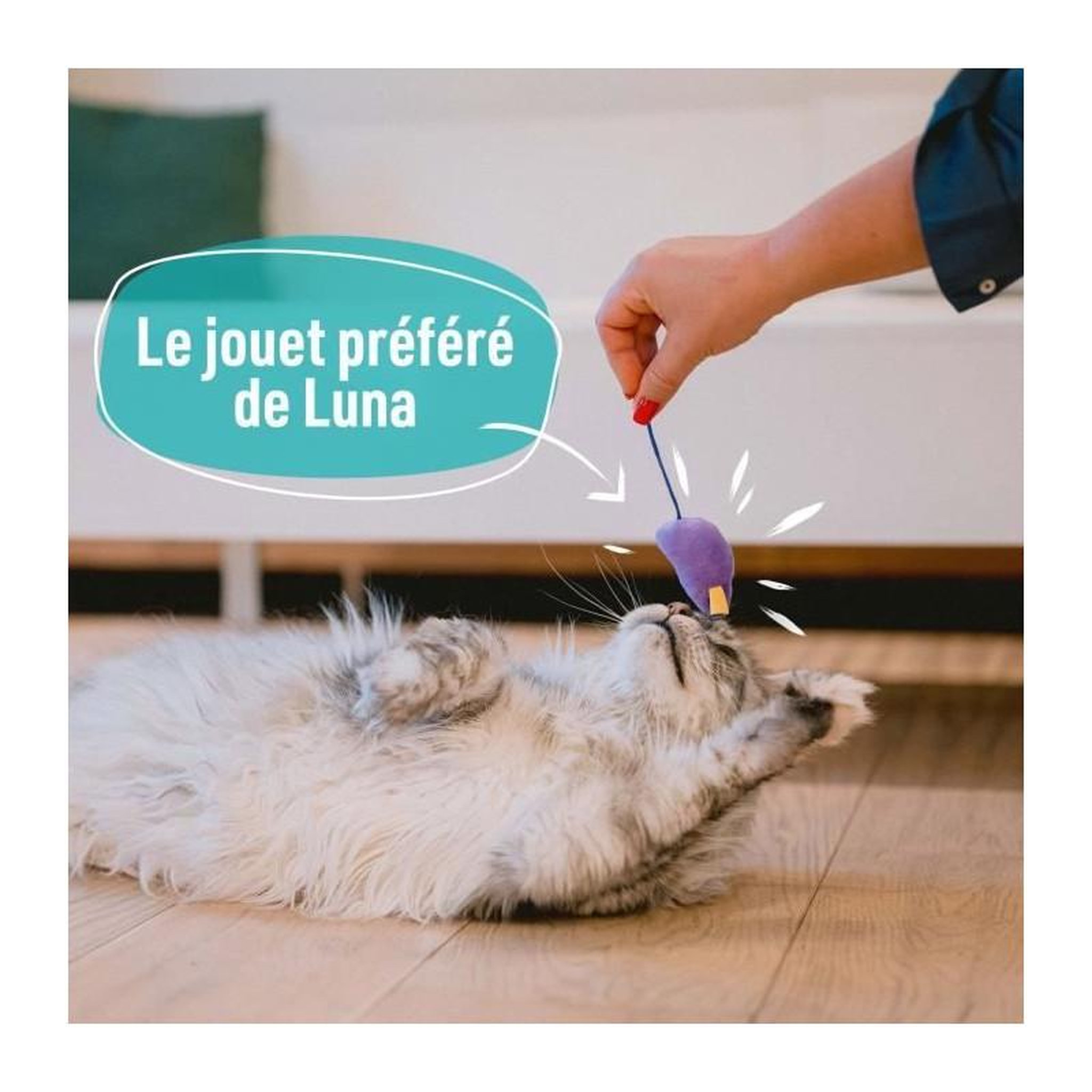 Voir la diapositive 4 : AIME 7 jouets pour Chat - AIMÉ