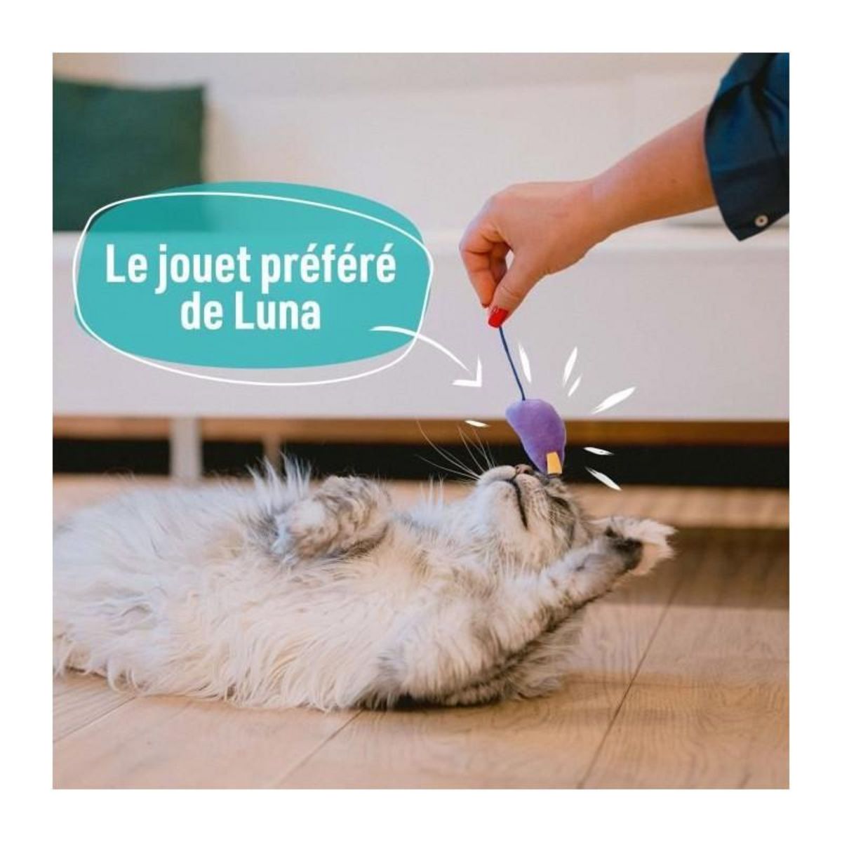 AIME 7 jouets pour Chat - AIMÉ