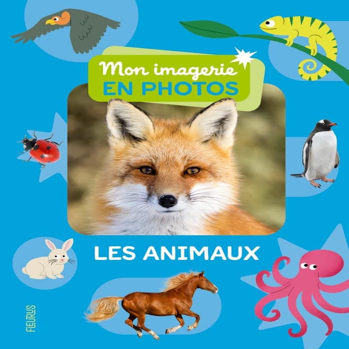 LES ANIMAUX, Ferrari Camille