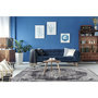 Voir la diapositive 2 : Paris Prix Tapis Imprimé Antique  Vintage  Gris