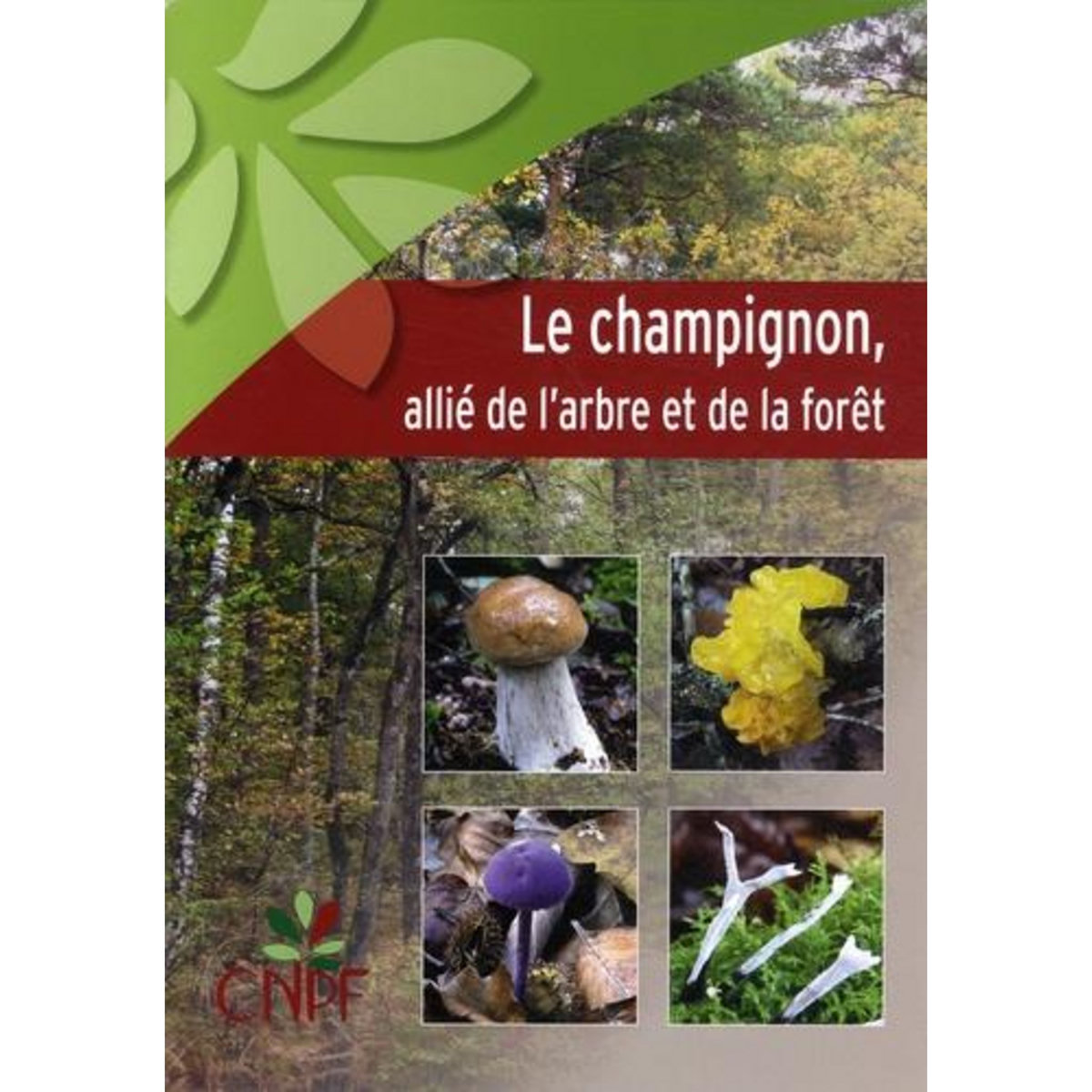 LE CHAMPIGNON, ALLIE DE L'ARBRE ET DE LA FORET, Pichard Gilles