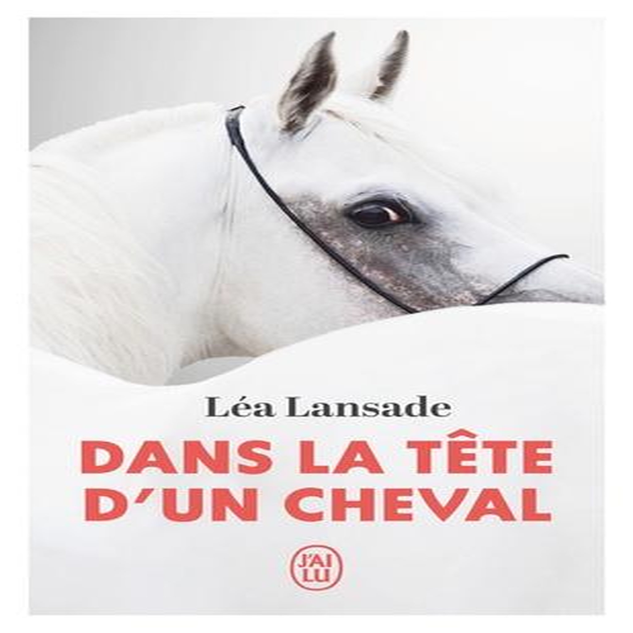 DANS LA TETE D'UN CHEVAL, Lansade Léa