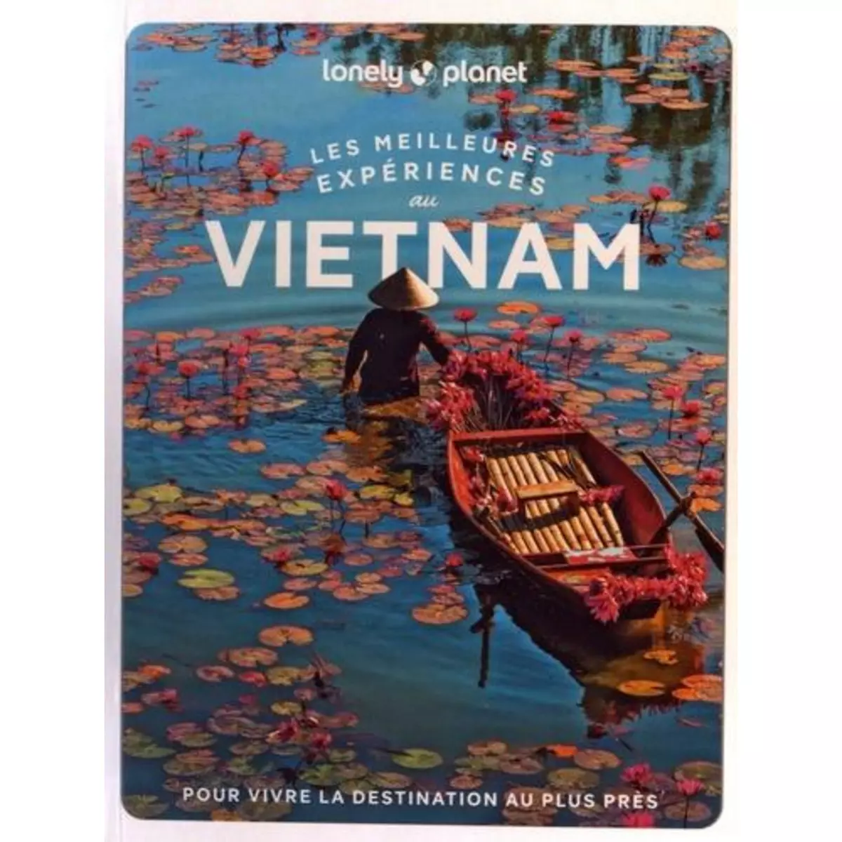  LES MEILLEURES EXPERIENCES AU VIETNAM. AVEC 1 PLAN DETACHABLE, Le Diem Nguyen