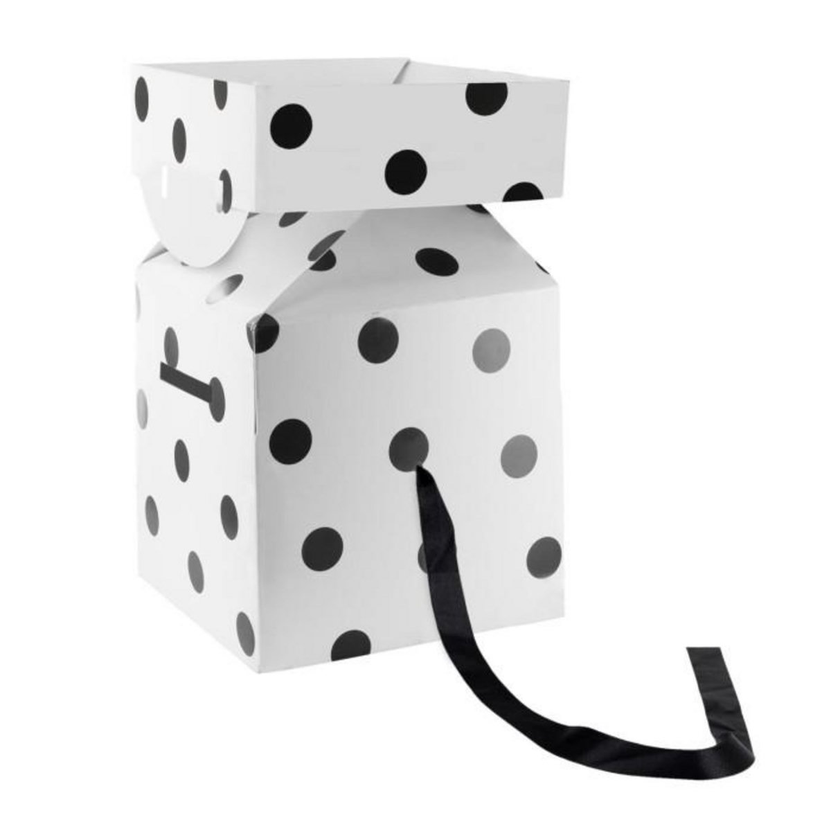 Paris Prix Boîte Cadeau Pliable  Festif  13cm Noir & Blanc