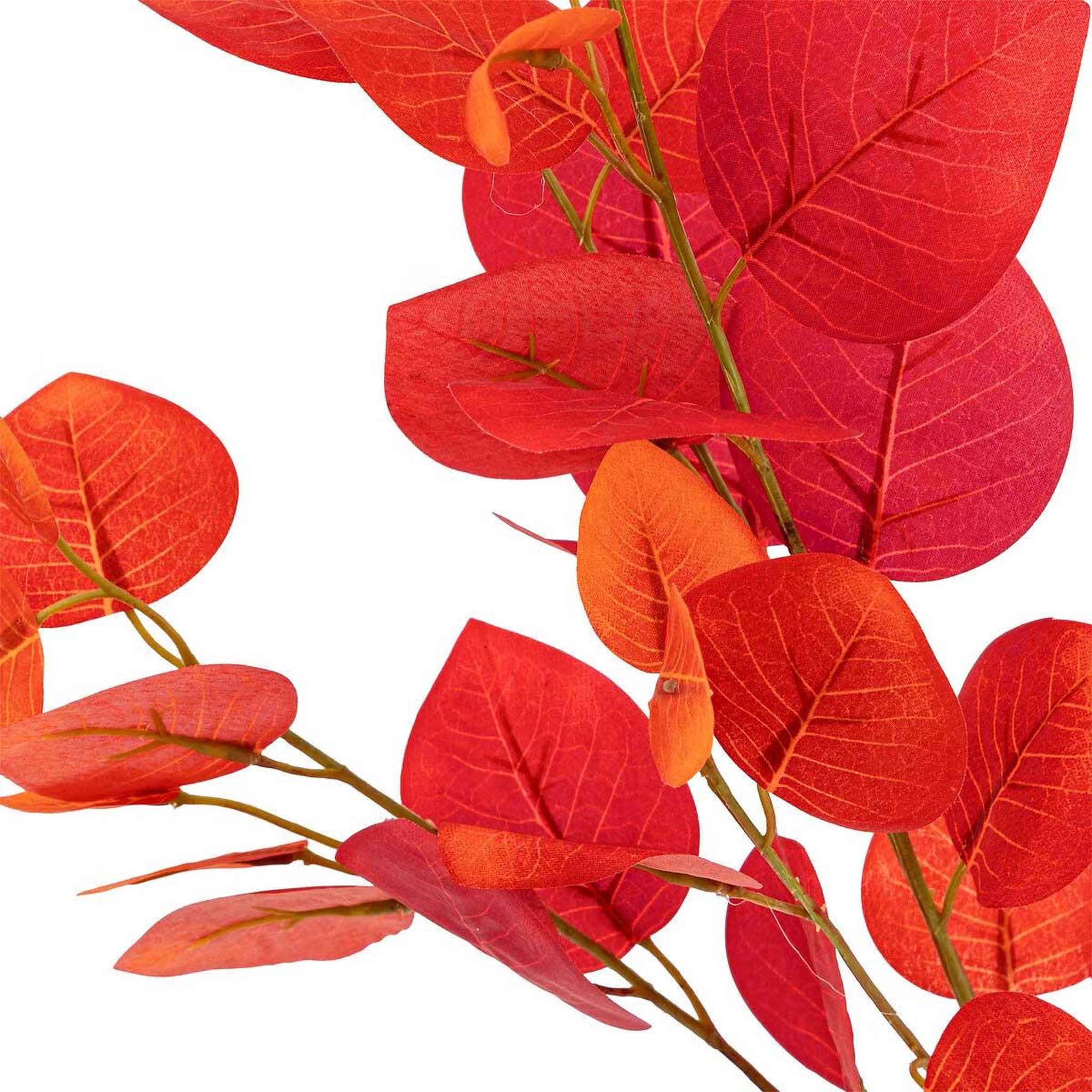 Voir la diapositive 2 : ATMOSPHERA Tige artificielle  eucalyptus  92cm rouge