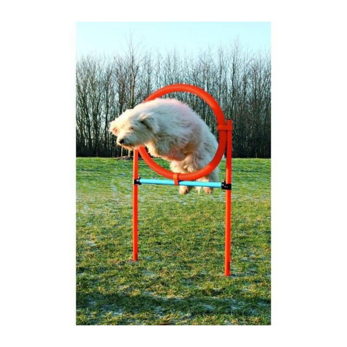 Trixie TRIXIE Cerceau d'agilité pour chiens 115 x 3cm plastique