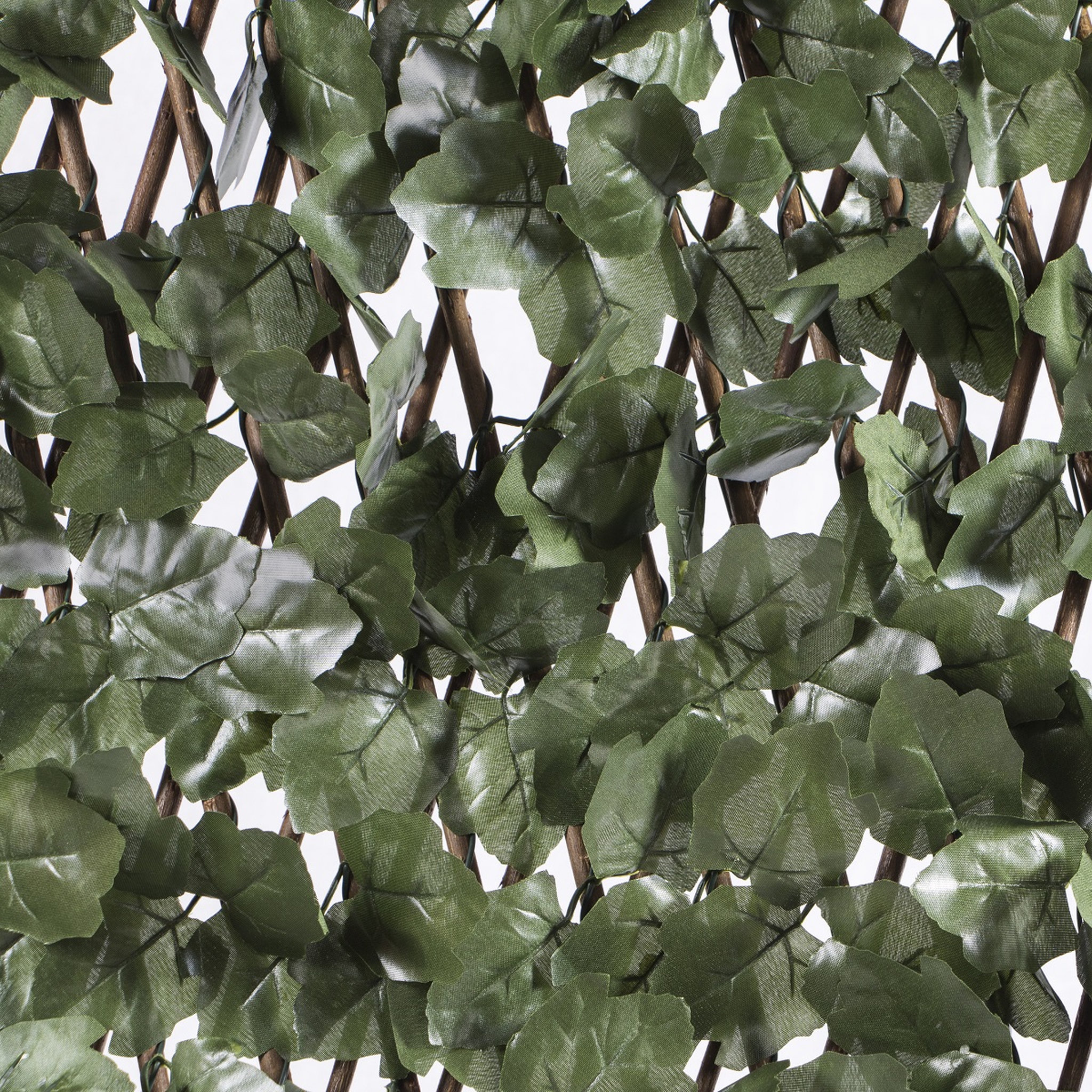 Treillis extensible - 1x2m - Avec feuilles et lien