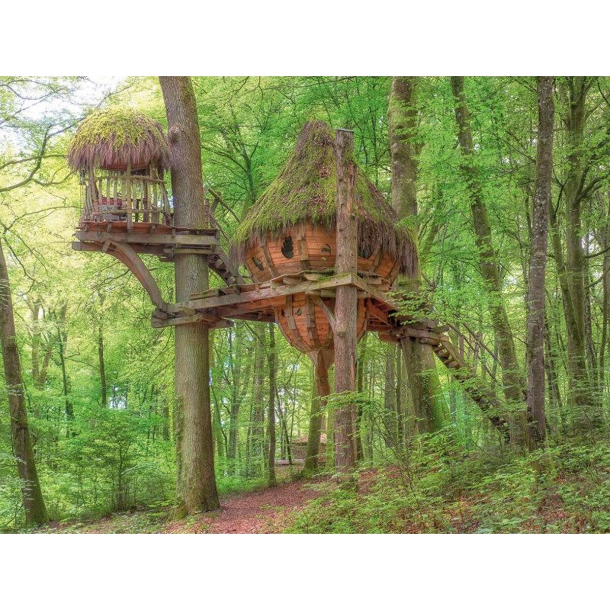 Smartbox Séjour nature & insolite - Coffret Cadeau Séjour