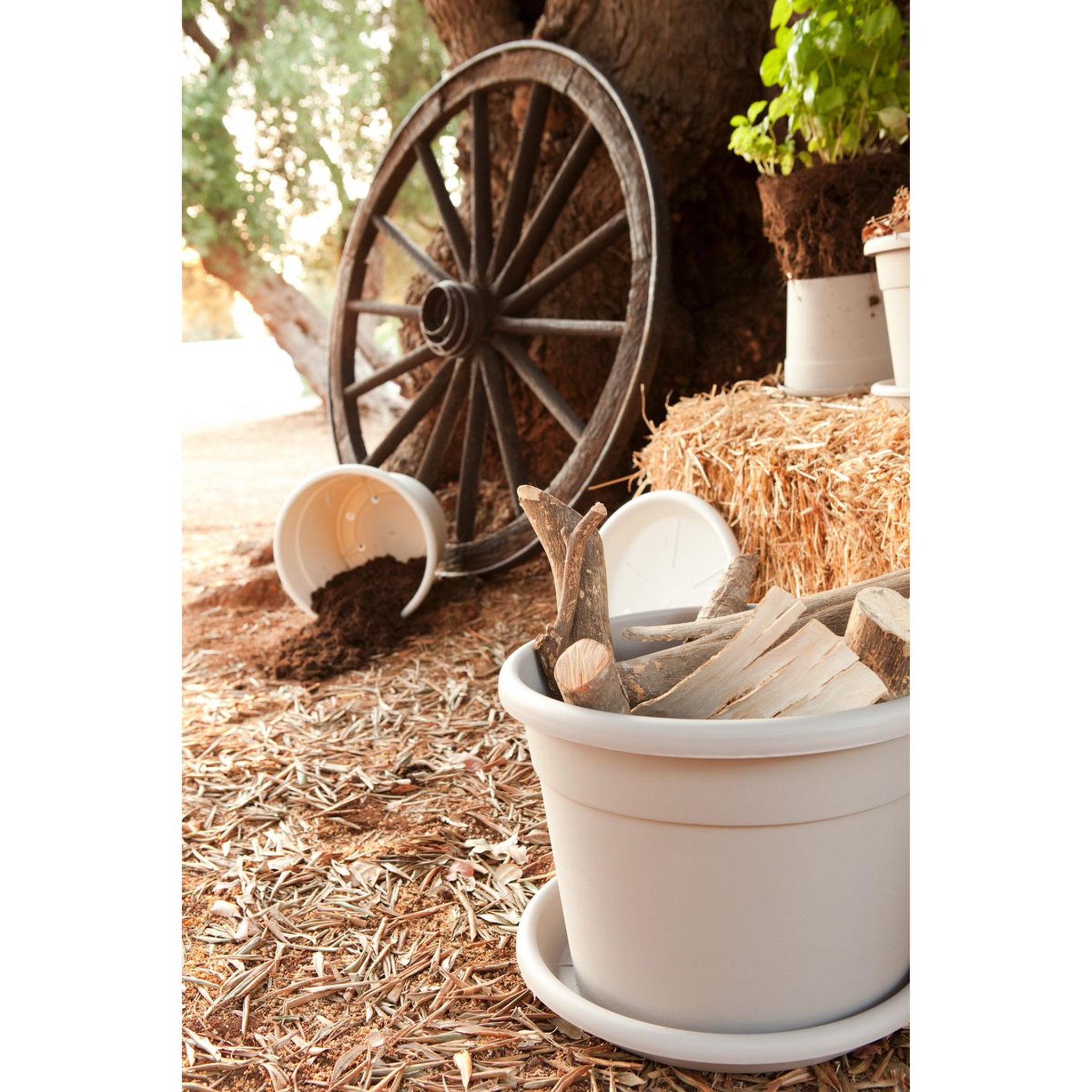 Voir la diapositive 3 : Telcom SOUCOUPE D38 CM POUR POT D40 CM BLANC CREME
