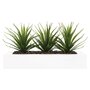 Voir la diapositive 2 : ATMOSPHERA Centre de table 3 Aloe vera artificielles - H. 17 cm