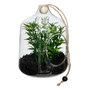 Voir la diapositive 1 : ATMOSPHERA Terrarium à Suspendre  Naly  15cm Vert