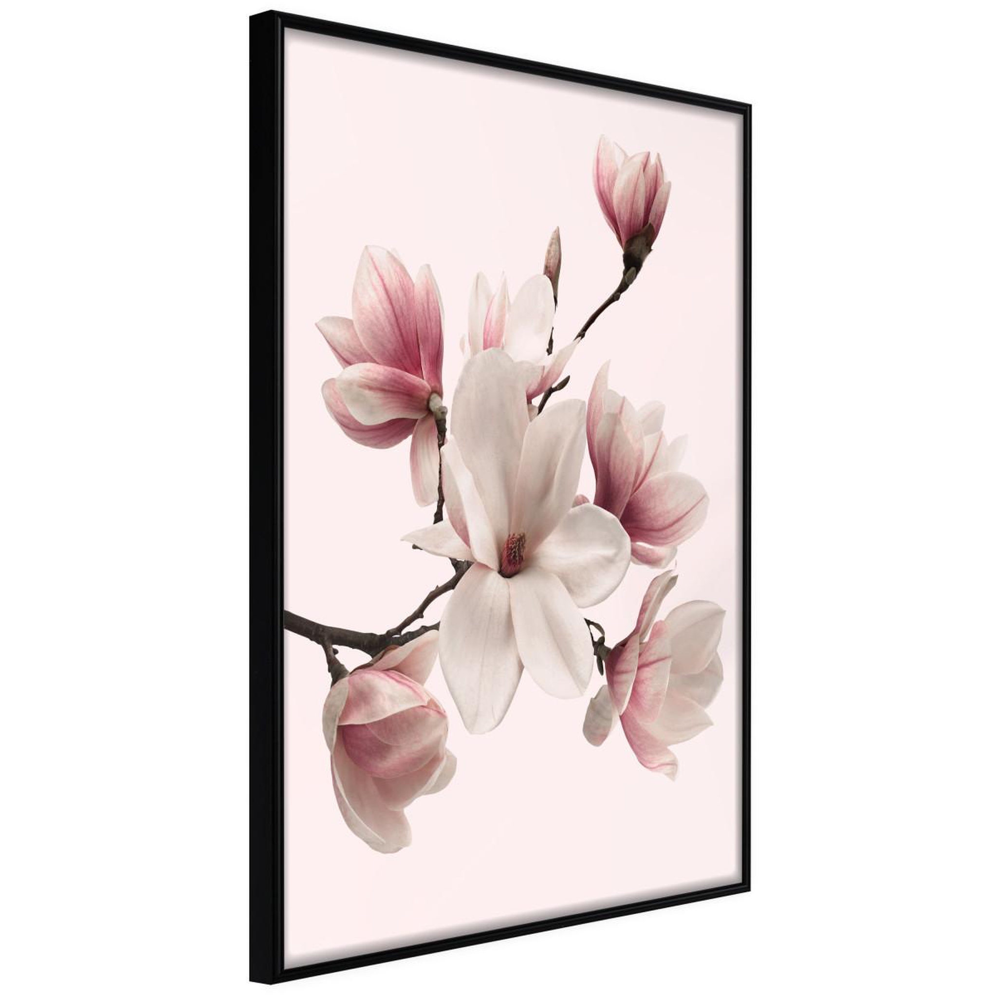 Paris Prix Affiche murale encadrée  blooming magnolias i. Coloris disponibles : Noir, Jaune