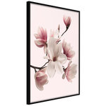 Paris Prix Affiche Murale Encadrée  Blooming Magnolias I. Coloris disponibles : Jaune, Noir