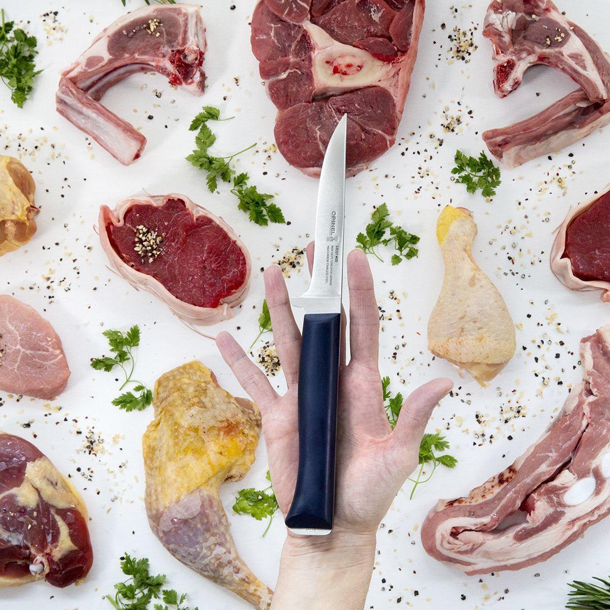 Voir la diapositive 5 : Opinel Couteau à viande Viande Intempora No222
