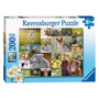 Voir la diapositive 1 : RAVENSBURGER Ravensburger Puzzle Cute Baby Animals, 200pcs. XXL 133536