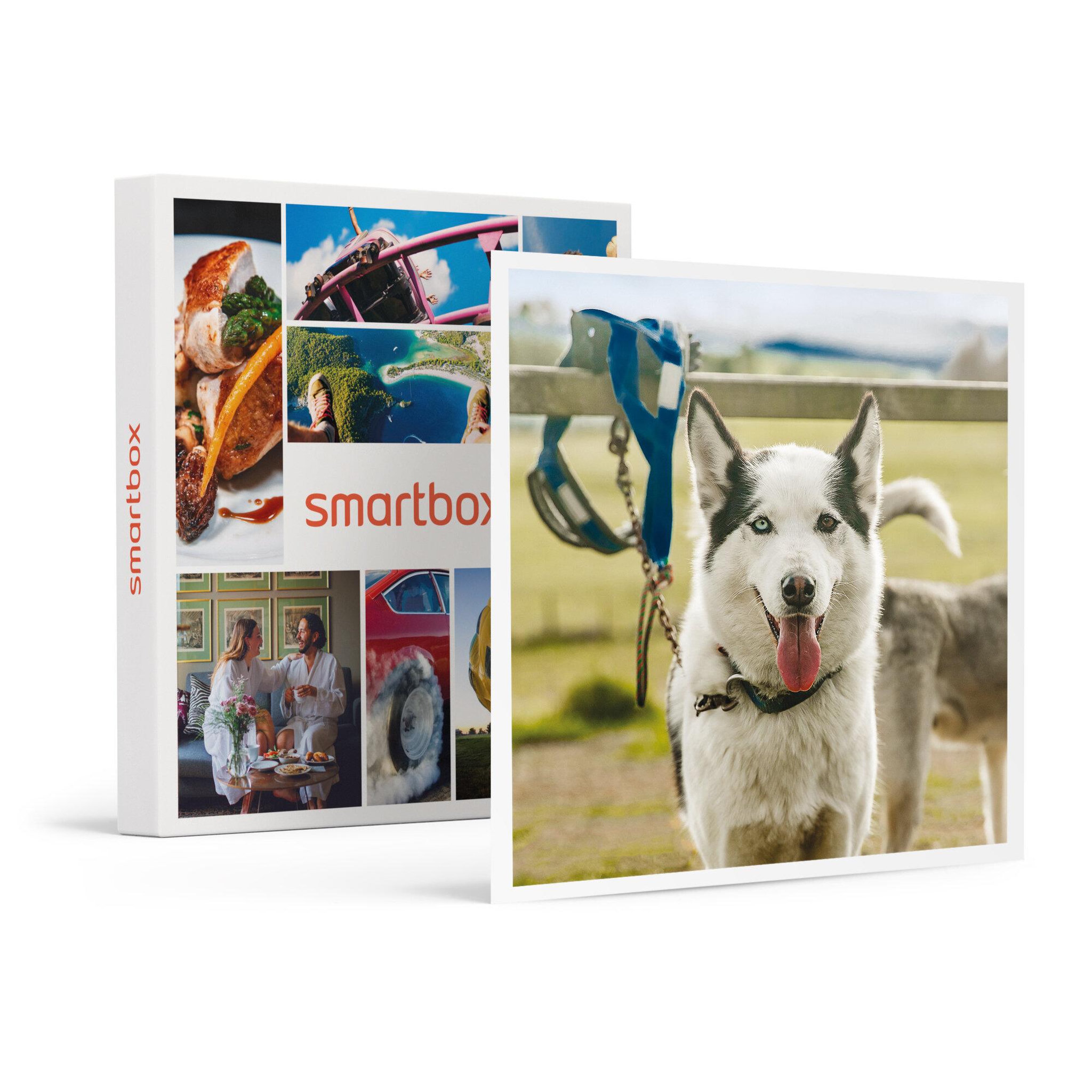 Voir la diapositive 1 : Smartbox 2h de Cani-Balade inoubliable pour 1 adulte et 1 enfant près de Valence - Coffret Cadeau Sport & Aventure