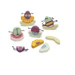 Sevi Mix et Match - Fleurs et Coléoptères