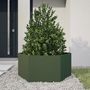 Voir la diapositive 2 : VIDAXL Jardiniere vert olive hexagone 104x90x45 cm acier