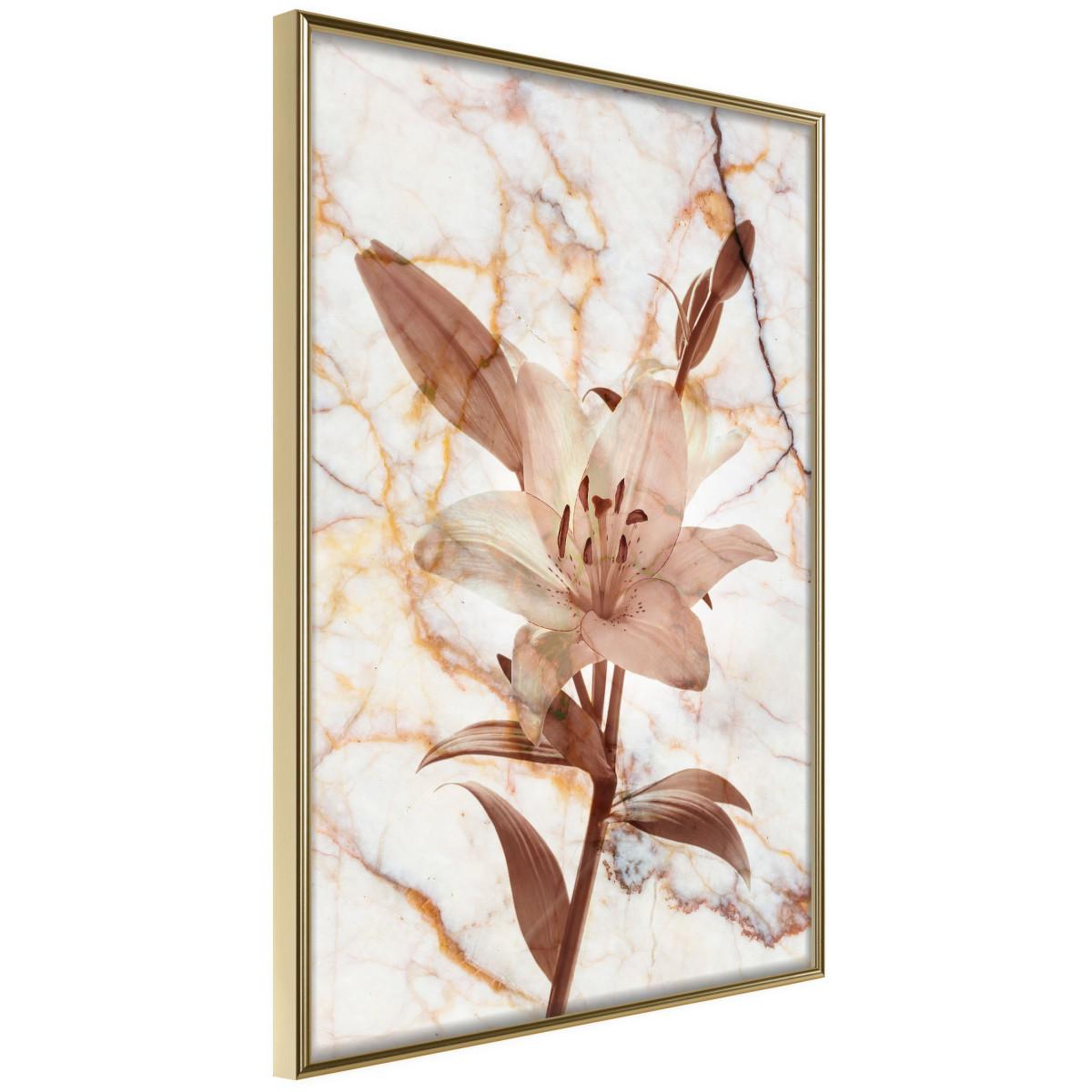 Paris Prix Affiche murale encadrée  lily on marble background