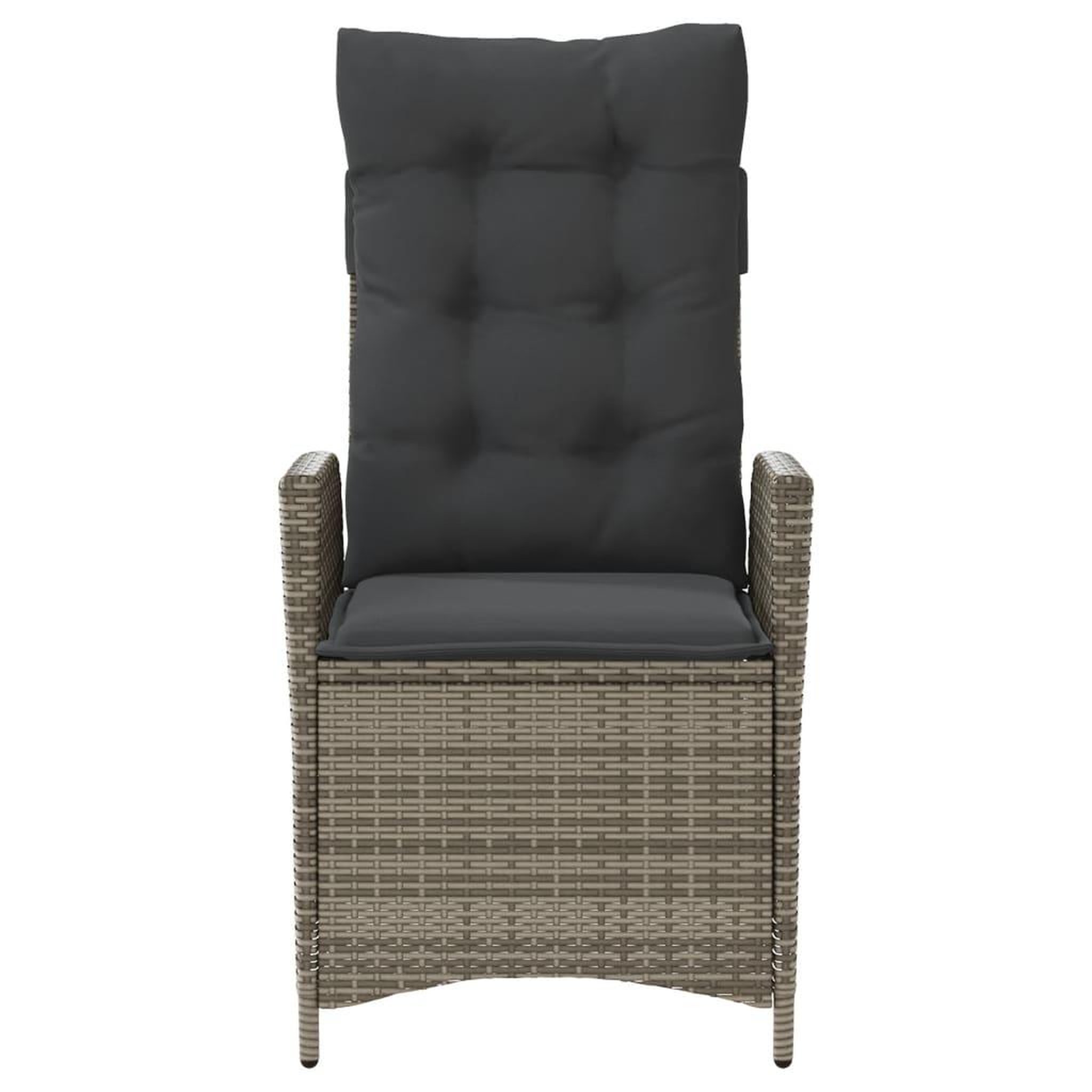 Voir la diapositive 4 : VIDAXL Chaise inclinable de jardin avec coussins gris resine tressee