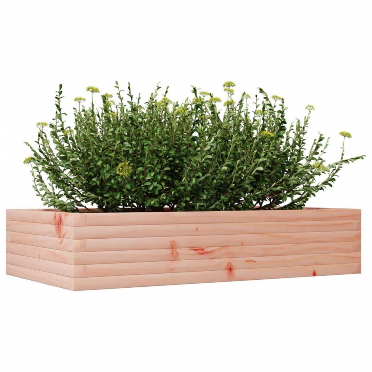 VIDAXL Jardiniere 110x60x23 cm bois massif de douglas