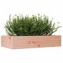 Voir la diapositive 4 : VIDAXL Jardiniere 110x60x23 cm bois massif de douglas