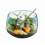 Voir la diapositive 2 : CLEMENTONI Terrarium Harry Potter