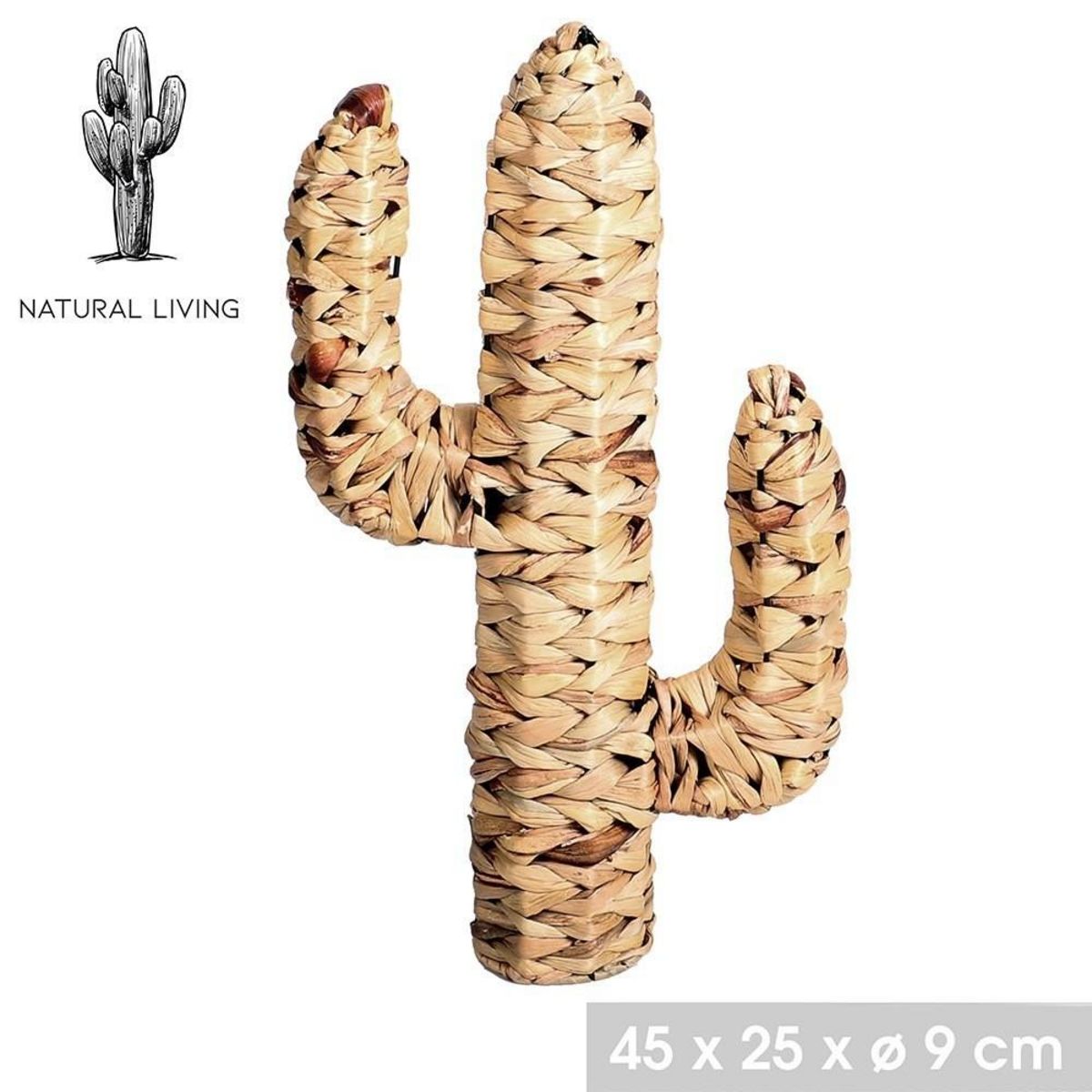 FORNORD Cactus en jacinthe d'eau H45
