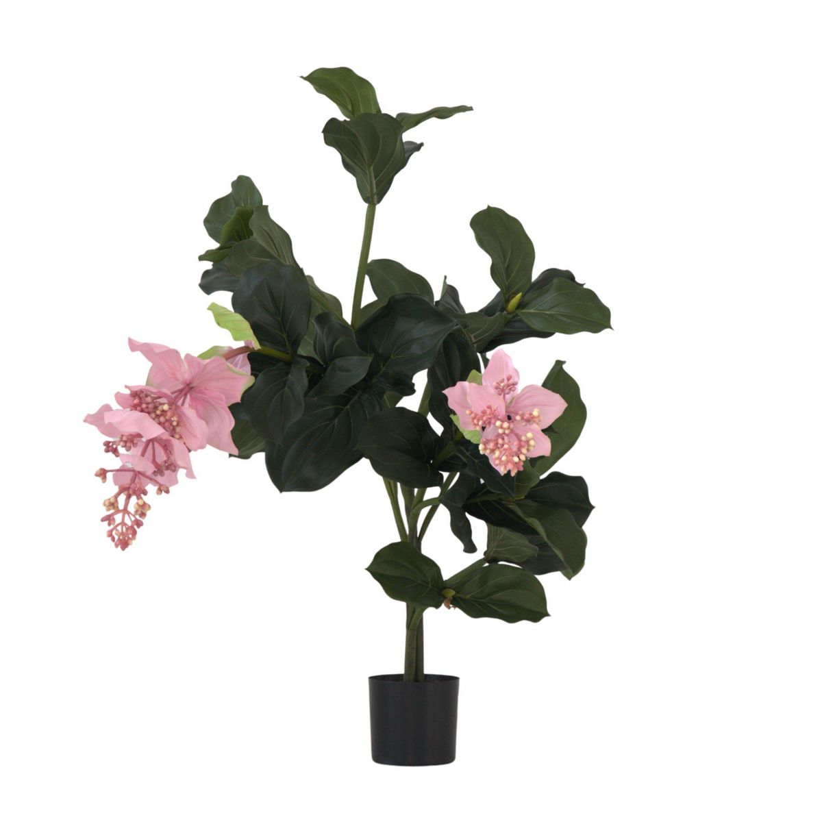 PLANT IN A BOX Medinilla Magnifica artificielle - Hauteur 85cm