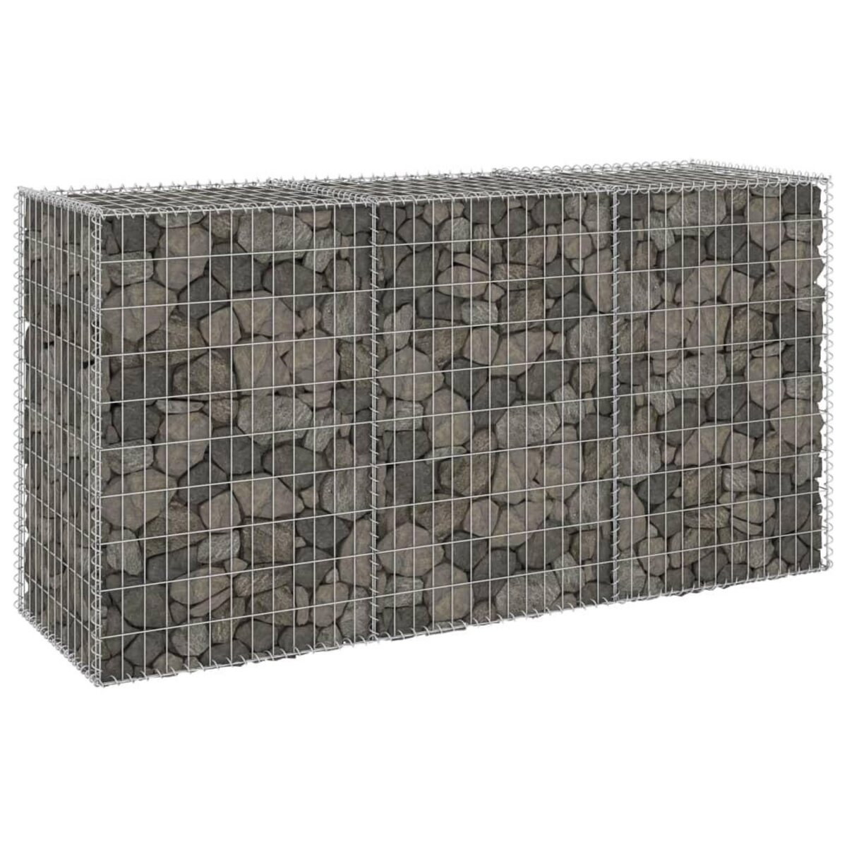 VIDAXL Mur en gabion avec couvercles Acier galvanise 200x60x100 cm