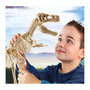 Voir la diapositive 6 : CLEMENTONI CLEMENTONI Archeo Ludic - Dinosaures legendaires - Science + Jeu