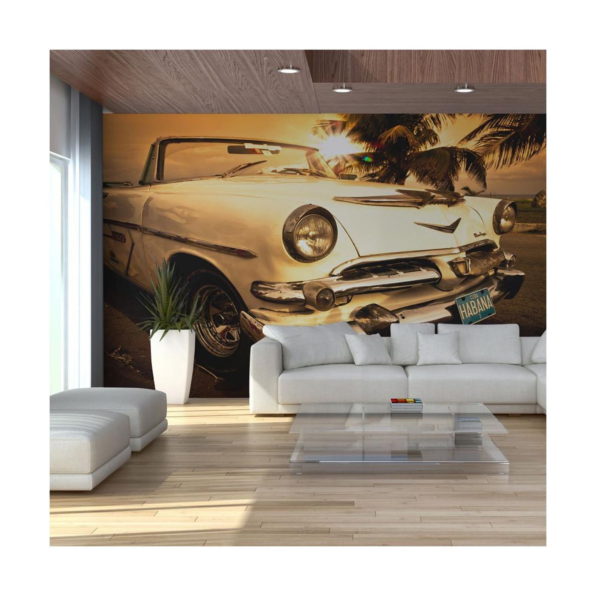 Paris Prix Papier peint  viva havana! Ii  270x450cm