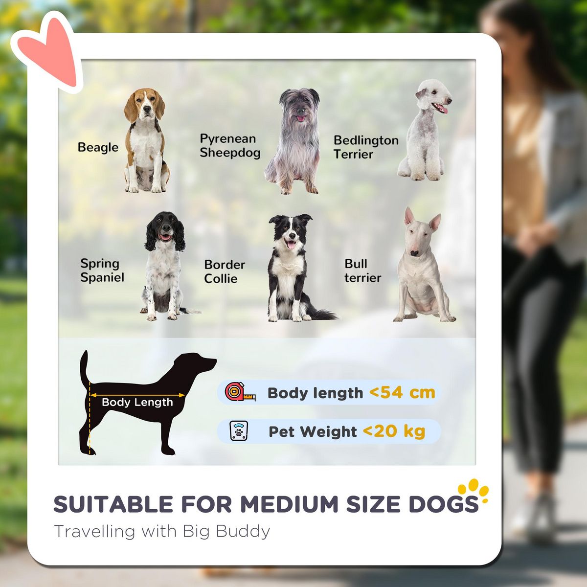 PAWHUT Poussette buggy chien 3 roues pliable pneus gonflables - sac, coussin, laisse intégrés - gris