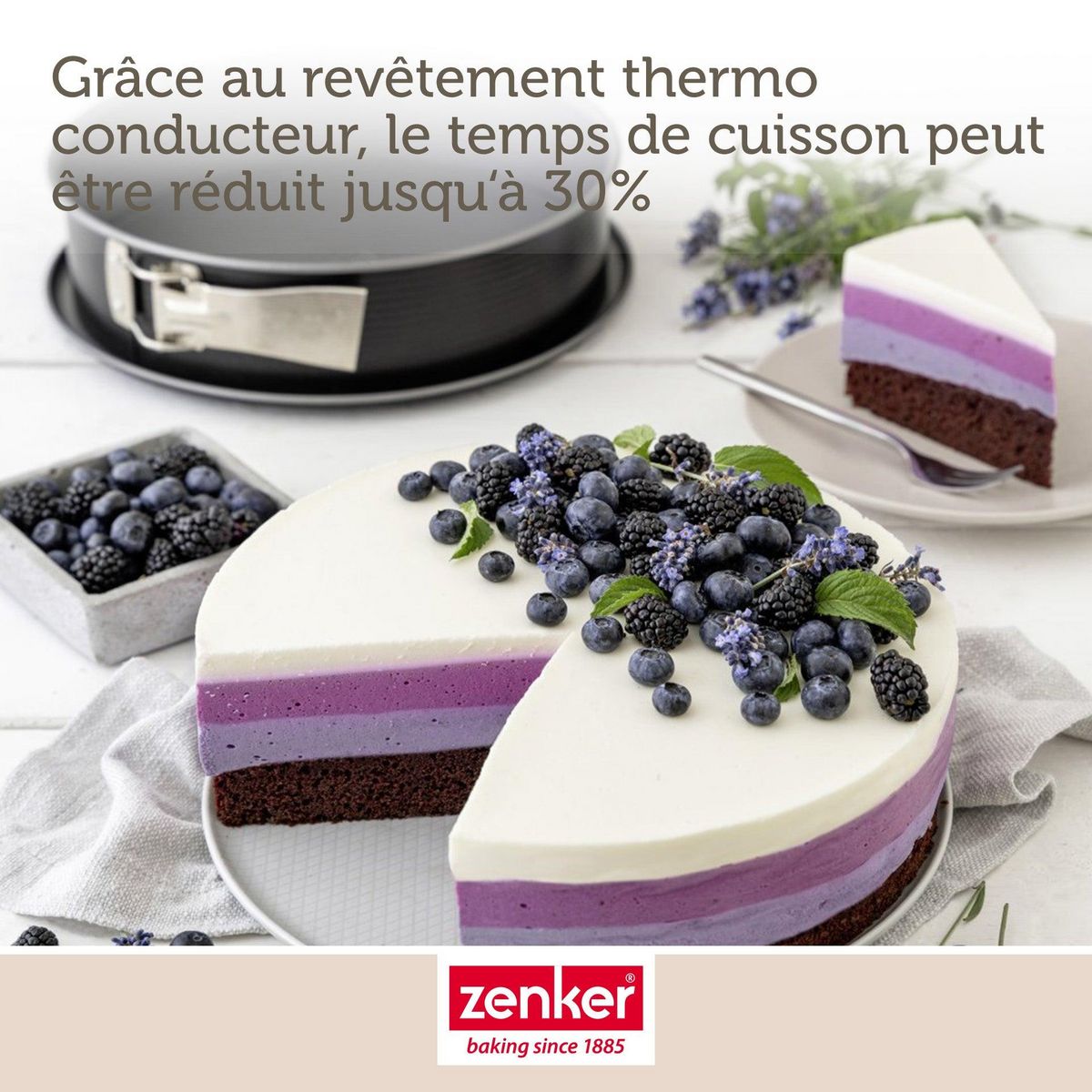 ZENKER Moule à manqué à charnière en acier 28 cm Zenker Energy