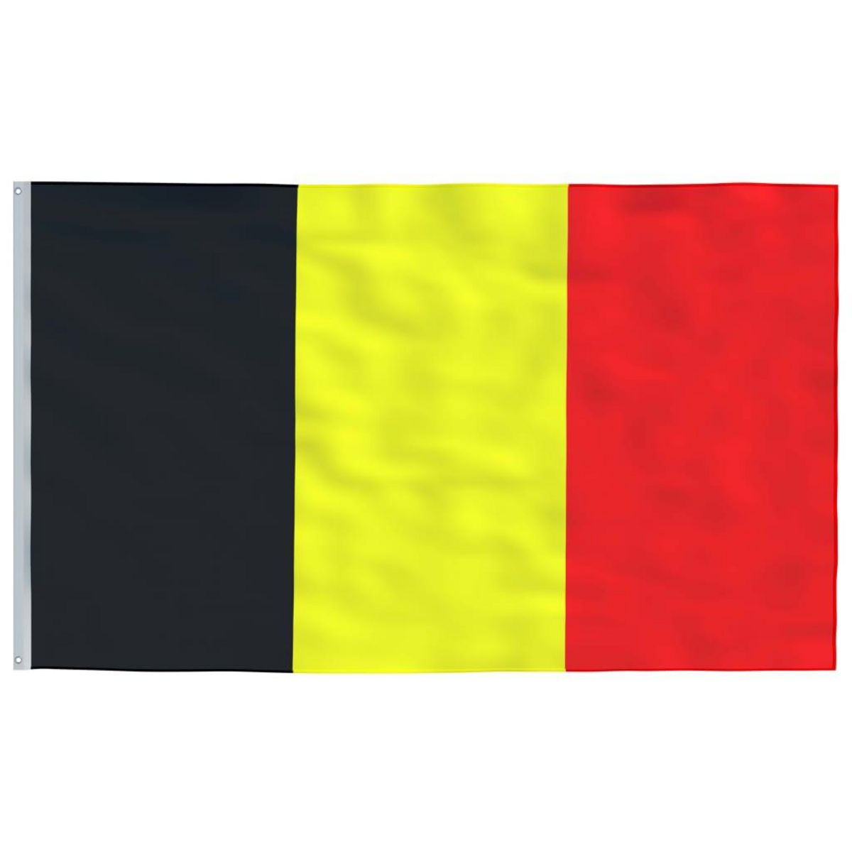 VIDAXL Drapeau de la Belgique et mat 5,55 m Aluminium
